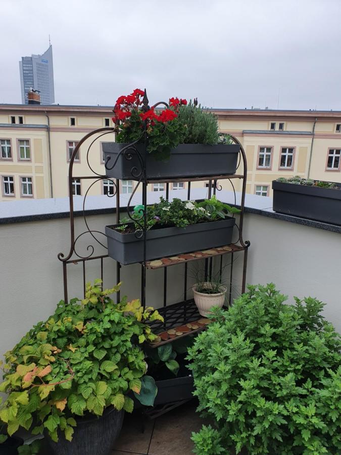 Aparthotel Luxusappartement Mitten In Neueröffnung !